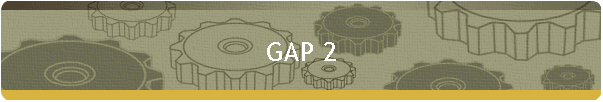 GAP 2